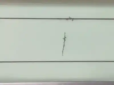 Second-hand car spare part dashboard for citroen c4 picasso feel oem iam references 9816911280  