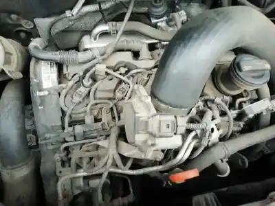 İkinci el araba yedek parçası KOMPLE MOTOR için VOLKSWAGEN T5 TRANSPORTER (7E)  OEM IAM referansları CAAD  