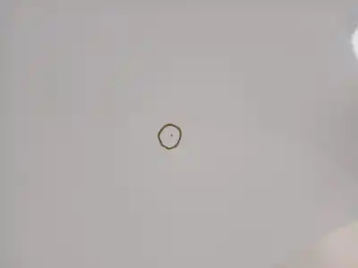 İkinci el araba yedek parçası arka sol kapi için citroen c3 collection oem iam referansları   