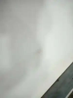 Pezzo di ricambio per auto di seconda mano porta anteriore sinistra per renault kangoo (f/kc0) alize riferimenti oem iam    Pezzo di ricambio per auto di seconda mano porta anteriore sinistra per renault kangoo (f/kc0) alize riferimenti oem iam