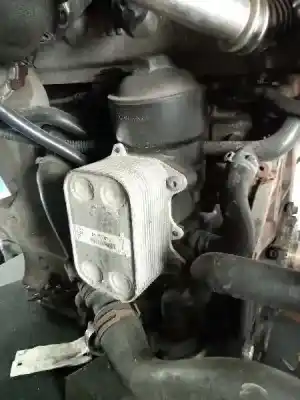 Pezzo di ricambio per auto di seconda mano radiatore olio motore per seat ibiza st (6j8) style riferimenti oem iam 03l117021c