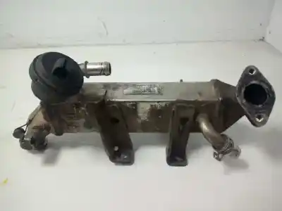 Pezzo di ricambio per auto di seconda mano raffreddatore egr per renault laguna ii (bg0) confort expression riferimenti oem iam 8200719993 Pezzo di ricambio per auto di seconda mano raffreddatore egr per renault laguna ii (bg0) confort expression riferimenti oem iam 8200719993
