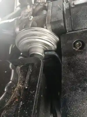 İkinci el araba yedek parçası Egr Valfi için BMW SERIE 3 BERLINA (E46) 320d OEM IAM referansları 72252302  