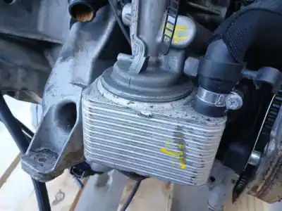 Tweedehands auto-onderdeel Motoroliekoeler voor VOLKSWAGEN PASSAT BERLINA (3B3) 1.9 TDI OEM IAM-referenties 038117021B 038117021C 038117021D