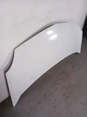 Автозапчасти б/у капот за renault kangoo express (fw0/1_) 1.5 dci 85 (fw0k, fw0l, fw0b) ссылки oem iam   