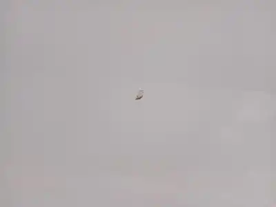 İkinci el araba yedek parçası sol ön kapi için bmw x1 (e84) sdrive 18 d oem iam referansları 41009628745  