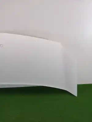 Pezzo di ricambio per auto di seconda mano cofano per renault kangoo (kc0/1_) 1.5 dci riferimenti oem iam 651003220r  