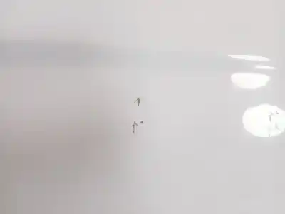 Автозапчасти б/у дверь передняя правая за ford grand c-max (dxa/cb7, dxa/ceu) 1.6 tdci ссылки oem iam 2387617  