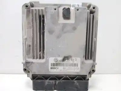 Pezzo di ricambio per auto di seconda mano centralina motore per volkswagen golf v (1k1) 1.9 tdi riferimenti oem iam 03g906016cb