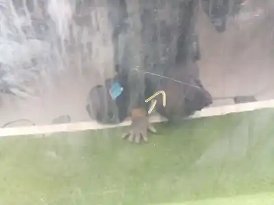 Second-hand car spare part front right door for bmw x6 (e71, e72) m oem iam references 41517198160  