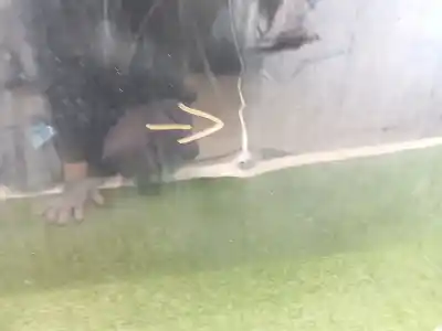 Second-hand car spare part front right door for bmw x6 (e71, e72) m oem iam references 41517198160  