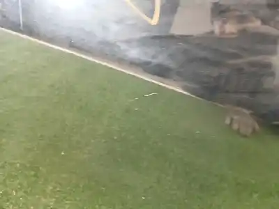 Second-hand car spare part left front door for bmw x6 (e71, e72) m oem iam references 41517198159  