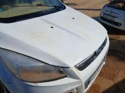 Автозапчастина б/у капок для ford kuga ii (dm2) 2.0 tdci посилання на oem iam 5262148  