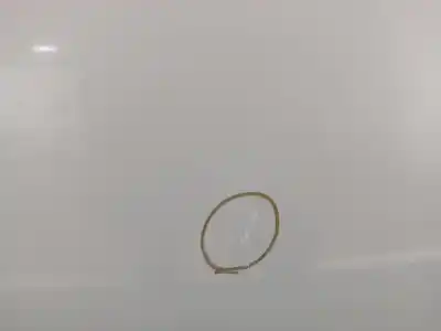 Pezzo di ricambio per auto di seconda mano porta posteriore sinistra per nissan qashqai / qashqai +2 i (j10, nj10, jj10e) 2.0 riferimenti oem iam h2101jd0m0  