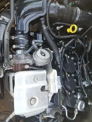 Second-hand car spare part COMPLETE ENGINE for FORD B-MAX (JK)  OEM IAM references SFJD  