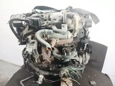 Pezzo di ricambio per auto di seconda mano motore completo per ford focus ii (da_, hcp, dp) 1.8 tdci riferimenti oem iam kkda   Pezzo di ricambio per auto di seconda mano motore completo per ford focus ii (da_, hcp, dp) 1.8 tdci riferimenti oem iam kkda