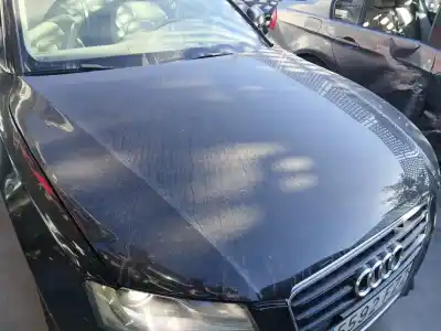Peça sobressalente para automóvel em segunda mão capot por audi a5 (8t3) 2.7 tdi referências oem iam 8t0823029d  