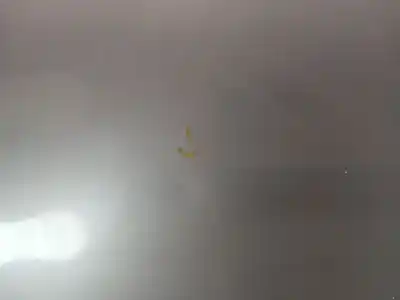 Peça sobressalente para automóvel em segunda mão capot por citroen c5 iii (rd_) 2.0 hdi 140 referências oem iam 7901p3  