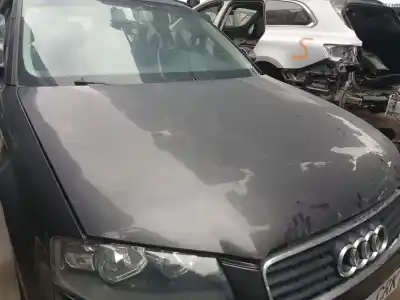 Peça sobressalente para automóvel em segunda mão capot por audi a3 (8p1) 1.6 referências oem iam 8p0823029b  