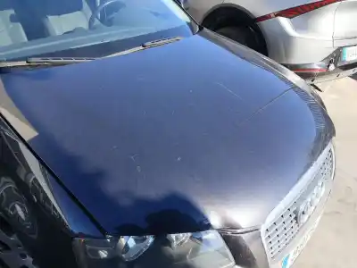 Peça sobressalente para automóvel em segunda mão capot por audi a3 (8p1) 1.9 tdi referências oem iam 8p0823029b  