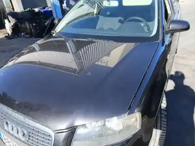 Peça sobressalente para automóvel em segunda mão capot por audi a3 (8p1) 1.9 tdi referências oem iam 8p0823029b  