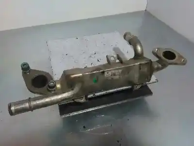 Автозапчасти б/у охладитель рог за FORD GALAXY (VY) 1.9 TDI CAT ссылки OEM IAM 038131512L  038131512L