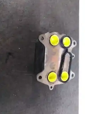 Pezzo di ricambio per auto di seconda mano RADIATORE OLIO MOTORE per VOLKSWAGEN GOLF VI (5K1)  Riferimenti OEM IAM 03L117021C  