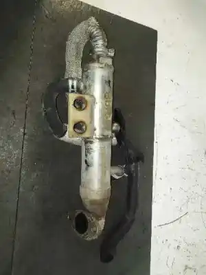 Tweedehands auto-onderdeel Egr-koeler voor FORD FOCUS BERLINA (CAK) Trend OEM IAM-referenties   