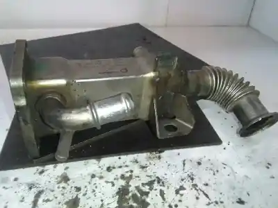 Pezzo di ricambio per auto di seconda mano Raffreddatore Egr per RENAULT CLIO II FASE II (B/CB0) 1.5 dCi Diesel Riferimenti OEM IAM 8200171191D 72843002 H7700107471