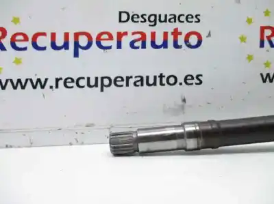 Recambio de automóvil de segunda mano de transmision delantera derecha para peugeot 206 4-trg. kfw (tu3jp) referencias oem iam   