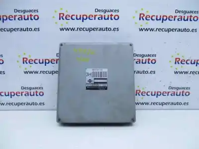 Recambio de automóvil de segunda mano de centralita motor uce para nissan almera tino 2.0 16v referencias oem iam mec19710  