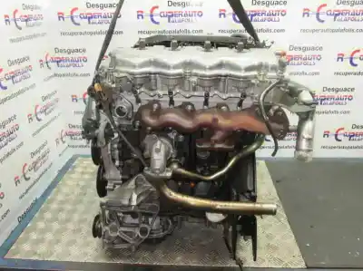 Peça sobressalente para automóvel em segunda mão motor completo por nissan primera berlina (p12) yd22ddti referências oem iam yd22ddti  