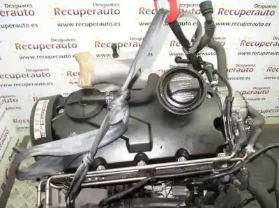 Pezzo di ricambio per auto di seconda mano motore completo per seat leon (1m1) arl riferimenti oem iam arl  