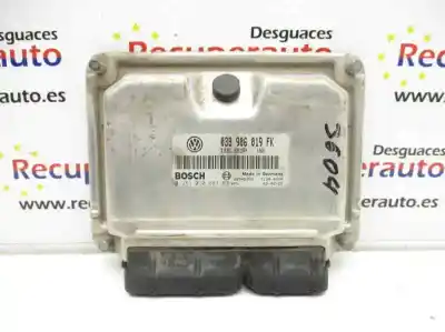 Peça sobressalente para automóvel em segunda mão centralina de motor uce por seat leon (1m1) arl referências oem iam 038906019fk  