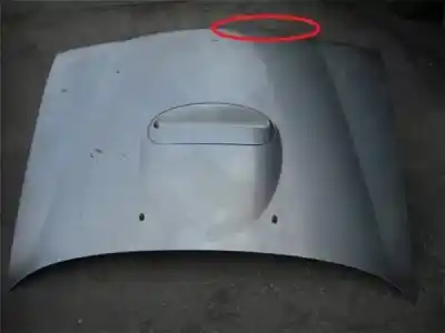 İkinci el araba yedek parçası kaporta için NISSAN TERRANO II (R20)  OEM IAM referansları 651007F030  
