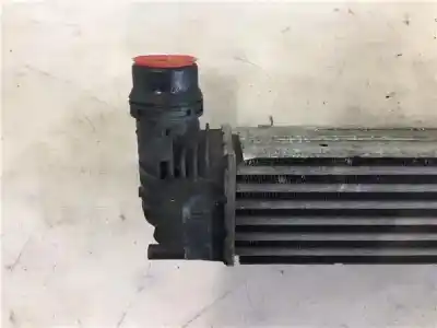 Peça sobressalente para automóvel em segunda mão intercooler por renault scenic iii (jz) 1.5 emotion referências oem iam 144960006r 144960600r , renault | 144961285r , renault | 144963639r , renault | 144964990r , renault | 144966078r , renault 
