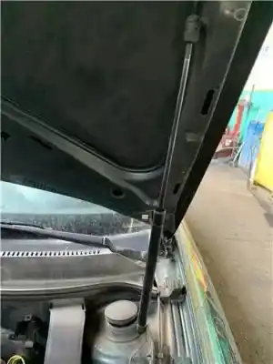Recambio de automóvil de segunda mano de AMORTIGUADOR CAPO para SEAT TOLEDO II (1M2)  referencias OEM IAM 1M0823359A  