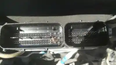 Автозапчасти б/у блок управления двигателем за lancia ypsilon (101) 1.3 multijet 16v platino (66kw) (10.2006->) ссылки oem iam 51792919  7160004002