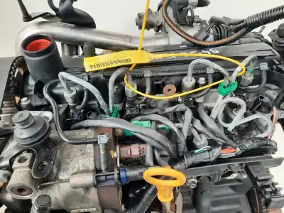 Peça sobressalente para automóvel em segunda mão motor completo por renault kangoo (f/kc0) 1.5 dci diesel cat (k9k-716) referências oem iam k9k716  