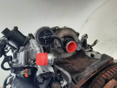 Peça sobressalente para automóvel em segunda mão motor completo por renault kangoo (f/kc0) 1.5 dci diesel cat (k9k-716) referências oem iam k9k716  