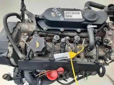 Recambio de automóvil de segunda mano de motor completo para fiat ducato caja cerr. techo sobreelev. (desde 03.02) 2.3 jtd cat referencias oem iam f1ae0481c  