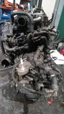 Pezzo di ricambio per auto di seconda mano motore completo per fiat stilo (192_) 1.9 jtd (192_xf1a) riferimenti oem iam   