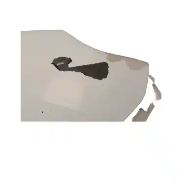 Second-hand car spare part front right fin for renault kangoo express (fw0/1_) 1.5 dci 90 (fw0g, fw05, fw08, fw11) oem iam references 631002210r  compatibilidades y componentes ->631002210r renault,631002210r renault, 631007558r renault
