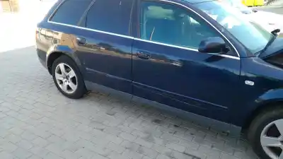 Pezzo di ricambio per auto di seconda mano griglia paraurti destra per audi a4 b6 (8e2) 2.5 tdi quattro riferimenti oem iam 8e0807682 01c  compatibilidades y componentes ->8e0805594a audi,8e0805594a audi, 8e0890594a audi,8e0805594a audi, 8