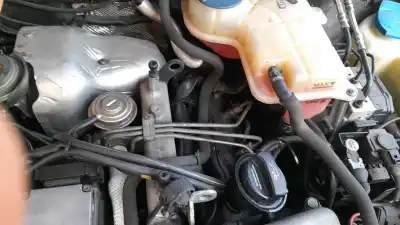 Pezzo di ricambio per auto di seconda mano griglia paraurti destra per audi a4 b6 (8e2) 2.5 tdi quattro riferimenti oem iam 8e0807682 01c  compatibilidades y componentes ->8e0805594a audi,8e0805594a audi, 8e0890594a audi,8e0805594a audi, 8