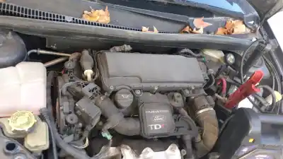 Pezzo di ricambio per auto di seconda mano ammortizzatore posteriore per ford fiesta 5 manual riferimenti oem iam 1919350  
