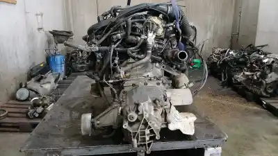 Peça sobressalente para automóvel em segunda mão motor completo por volkswagen passat b5.5 variant (3b6) 1.9 tdi referências oem iam   