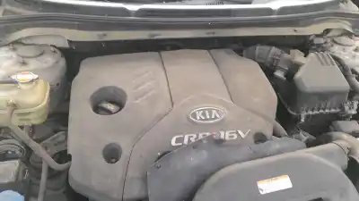 Peça sobressalente para automóvel em segunda mão servo freio por kia pro cee'd (ed) 1.6 crdi 90 referências oem iam 585001h000  