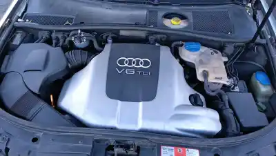 Автозапчастина б/у решіта переднього бампера для audi a6 avant (4b5) 2.5 tdi посилання на oem iam 4b0807683l 01c  compatibilidades y componentes ->4b0805588f audi, 4b0805588k audi, 4b0805588n audi