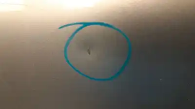 Peça sobressalente para automóvel em segunda mão porta da frente esquerda por volvo c30 2.0d r-design referências oem iam 31335483  